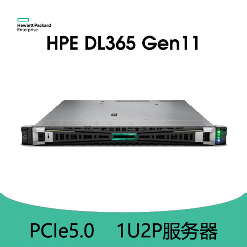 HPE ProLiant DL365 Gen11 服务器